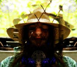 MycelialCords's Avatar